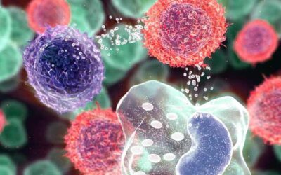 Tu microbiota influye en tu peso, tu ánimo y tu digestión:Por qué es tan importante cuidarla