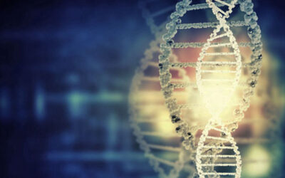 Análisis Epigenéticos: Una Revolución en el Bienestar Personalizado